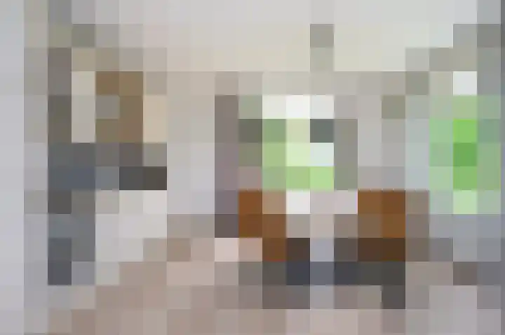 Covikseweg 6 Steenderen thumbnail 14