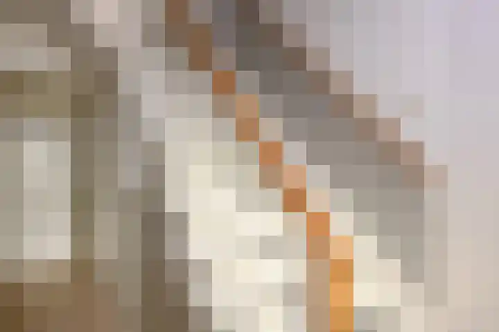Covikseweg 6 Steenderen thumbnail 16