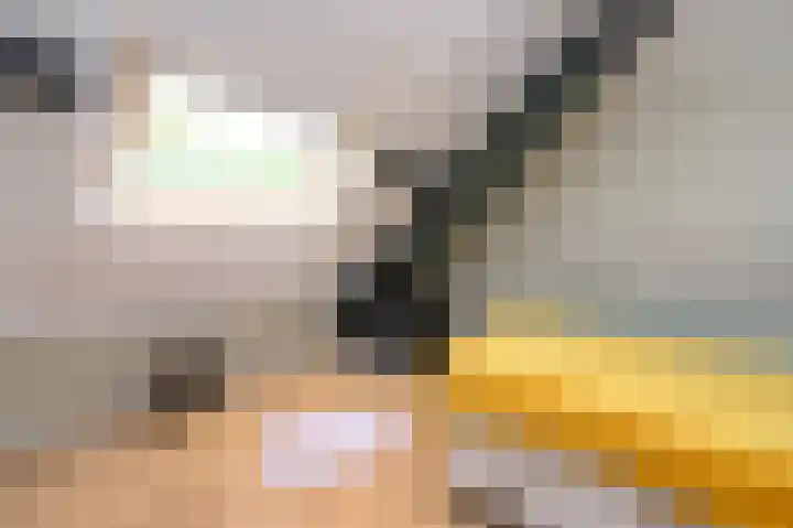 Covikseweg 6 Steenderen thumbnail 17