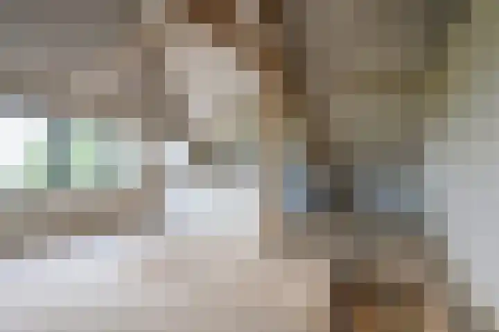 Covikseweg 6 Steenderen thumbnail 24