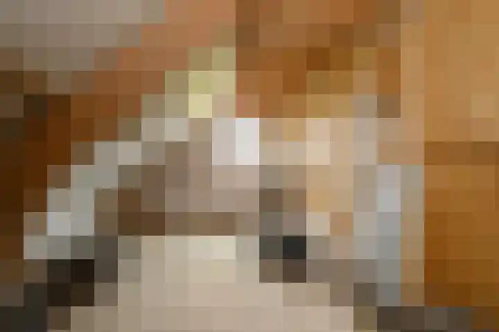 Covikseweg 6 Steenderen thumbnail 26