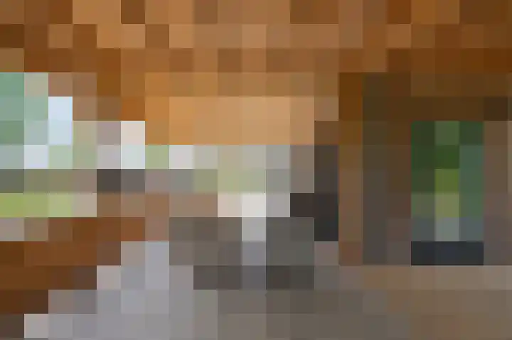 Covikseweg 6 Steenderen thumbnail 27