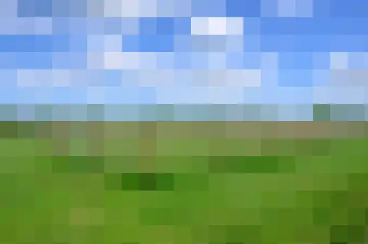 Covikseweg 6 Steenderen thumbnail 33