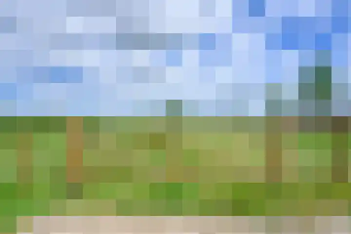 Covikseweg 6 Steenderen thumbnail 35