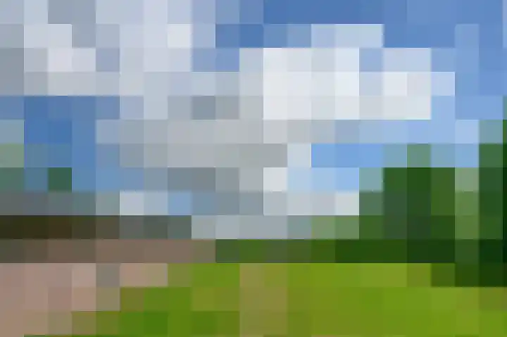 Covikseweg 6 Steenderen thumbnail 36