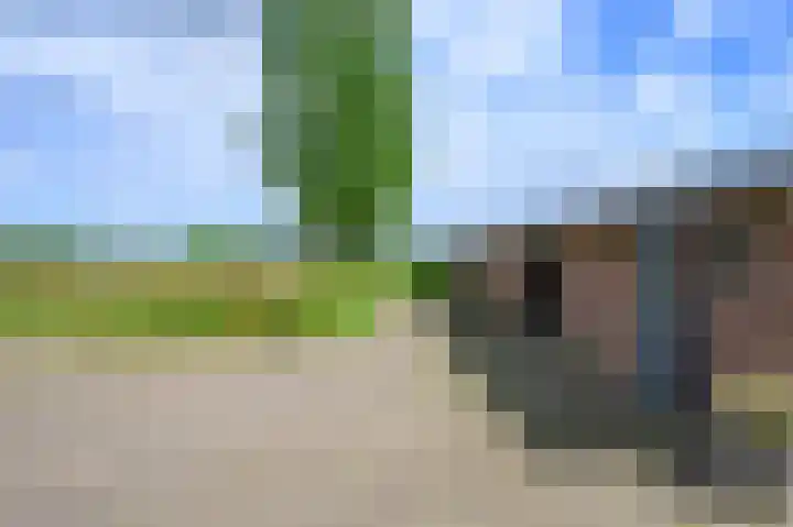 Covikseweg 6 Steenderen thumbnail 39