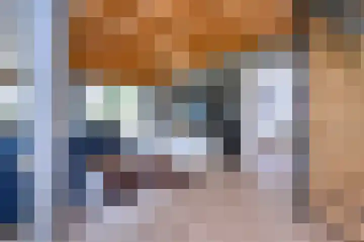 Covikseweg 6 Steenderen thumbnail 4