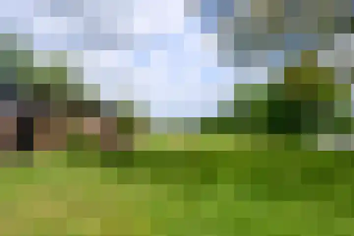 Covikseweg 6 Steenderen thumbnail 40