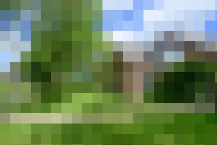 Covikseweg 6 Steenderen thumbnail 41