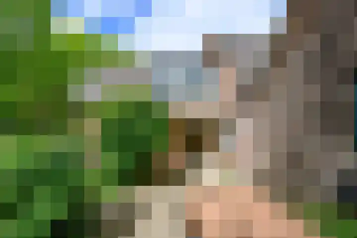 Covikseweg 6 Steenderen thumbnail 42