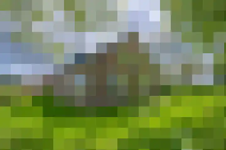 Covikseweg 6 Steenderen thumbnail 45