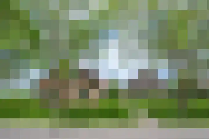 Covikseweg 6 Steenderen thumbnail 46