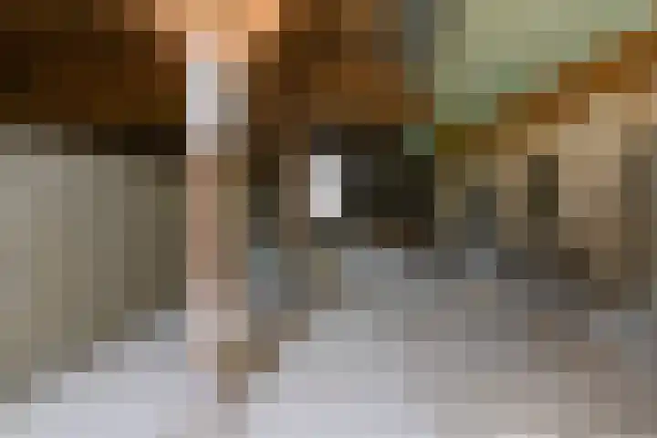 Covikseweg 6 Steenderen thumbnail 48