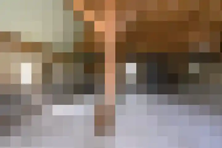 Covikseweg 6 Steenderen thumbnail 49