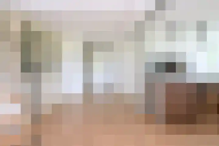 Covikseweg 6 Steenderen thumbnail 5