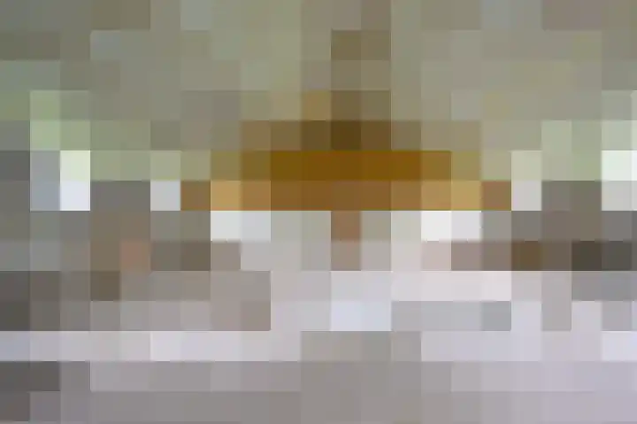 Covikseweg 6 Steenderen thumbnail 51