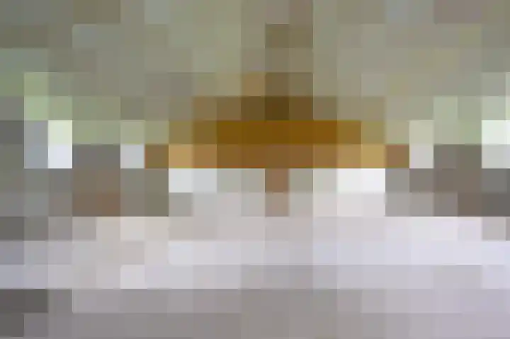 Covikseweg 6 Steenderen thumbnail 52