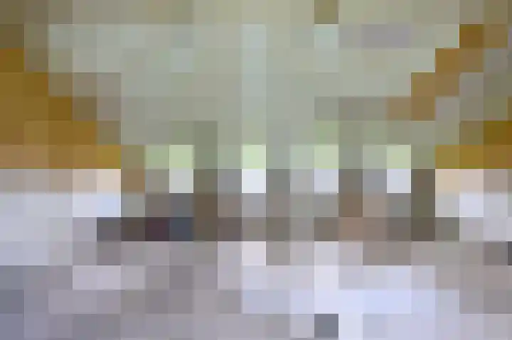Covikseweg 6 Steenderen thumbnail 54