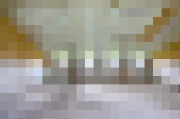 Covikseweg 6 Steenderen thumbnail 55