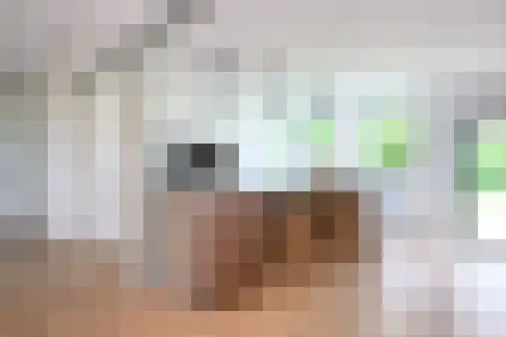 Covikseweg 6 Steenderen thumbnail 6