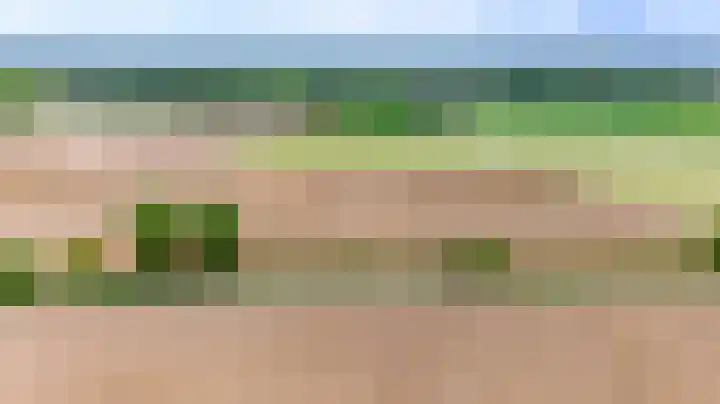 Covikseweg 6 Steenderen thumbnail 61