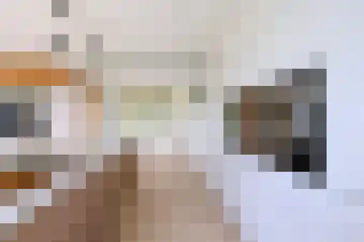 Covikseweg 6 Steenderen thumbnail 7