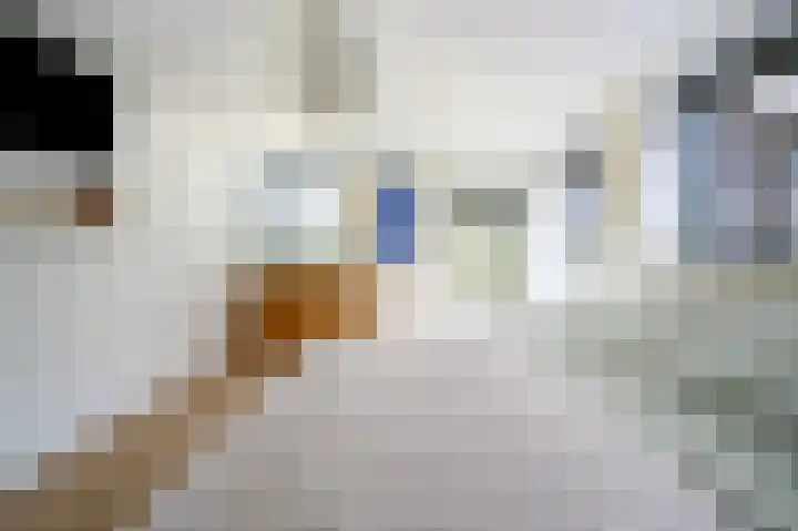 Covikseweg 6 Steenderen thumbnail 9