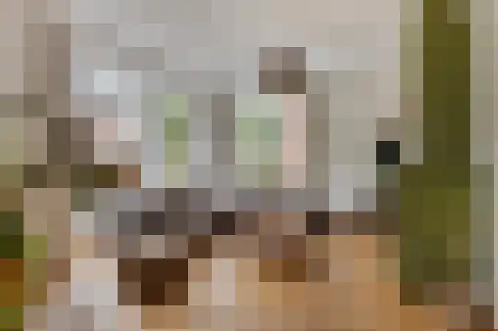 Cox 2 Asten thumbnail 11