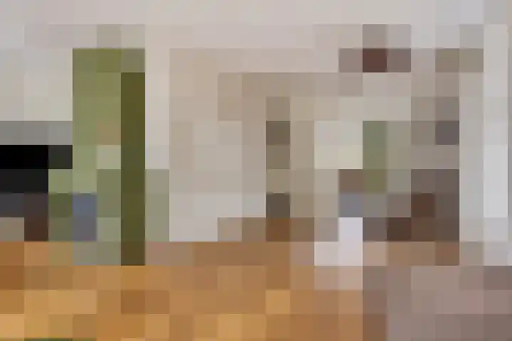 Cox 2 Asten thumbnail 12