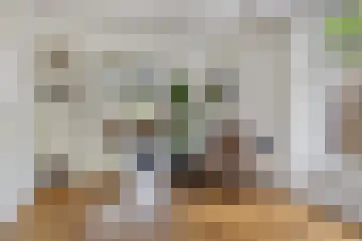 Cox 2 Asten thumbnail 13