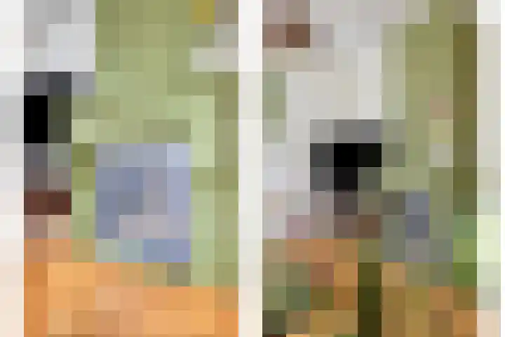 Cox 2 Asten thumbnail 14