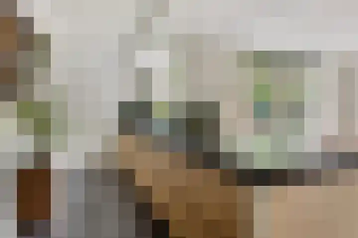 Cox 2 Asten thumbnail 19