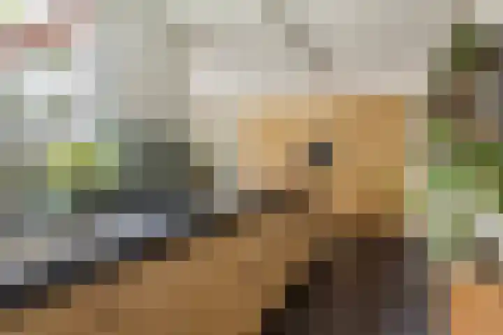 Cox 2 Asten thumbnail 21