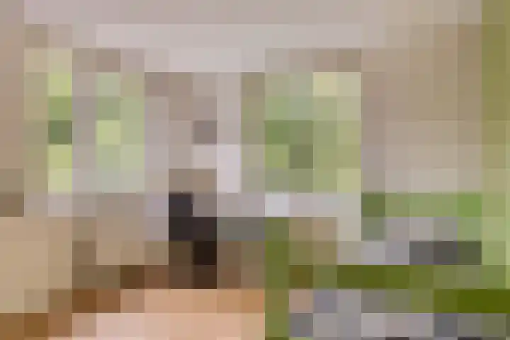 Cox 2 Asten thumbnail 32