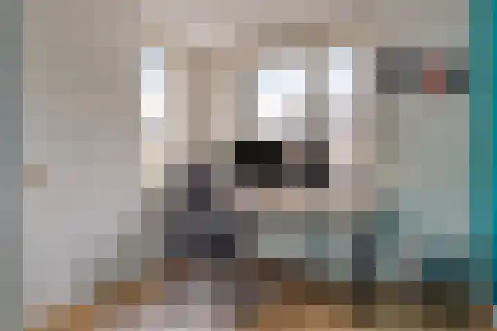 Cox 2 Asten thumbnail 33