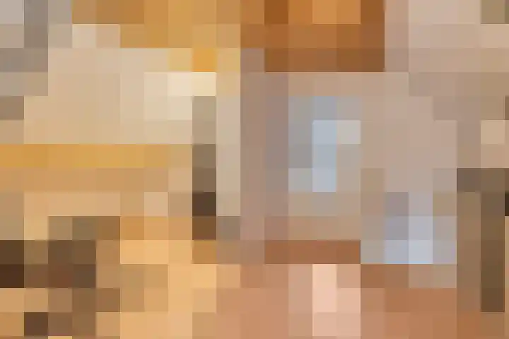 Cox 2 Asten thumbnail 35