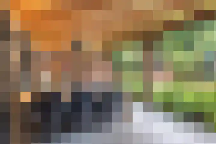 Cox 2 Asten thumbnail 38