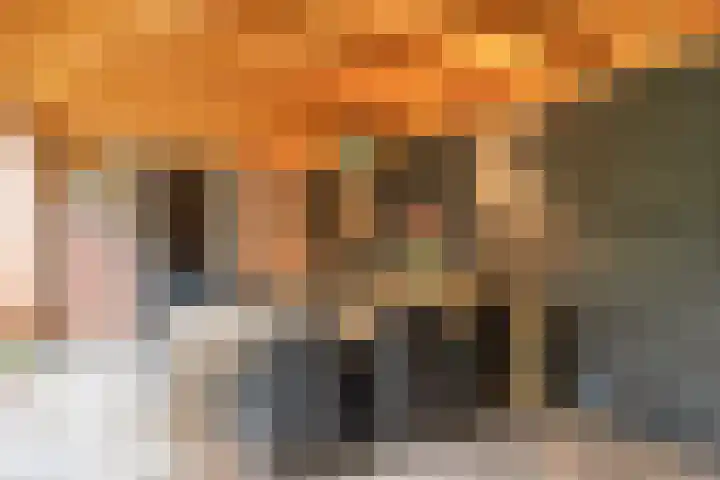 Cox 2 Asten thumbnail 39