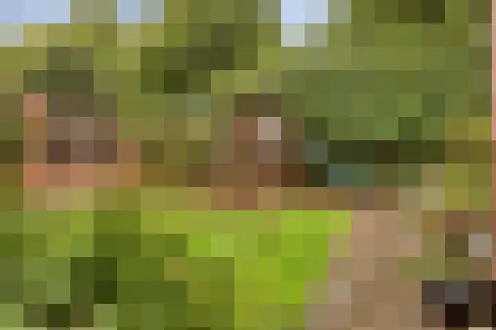 Cox 2 Asten thumbnail 40