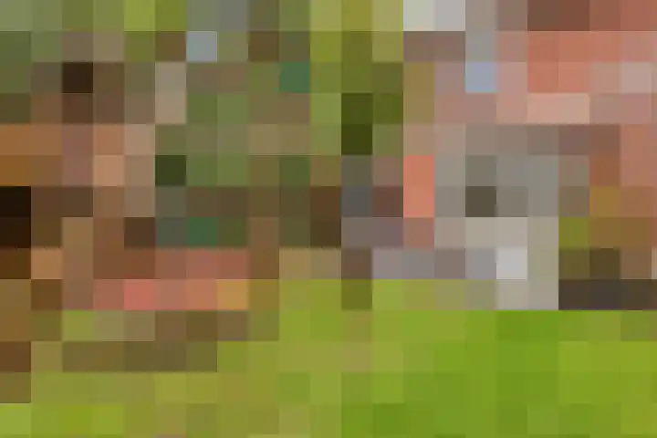 Cox 2 Asten thumbnail 41