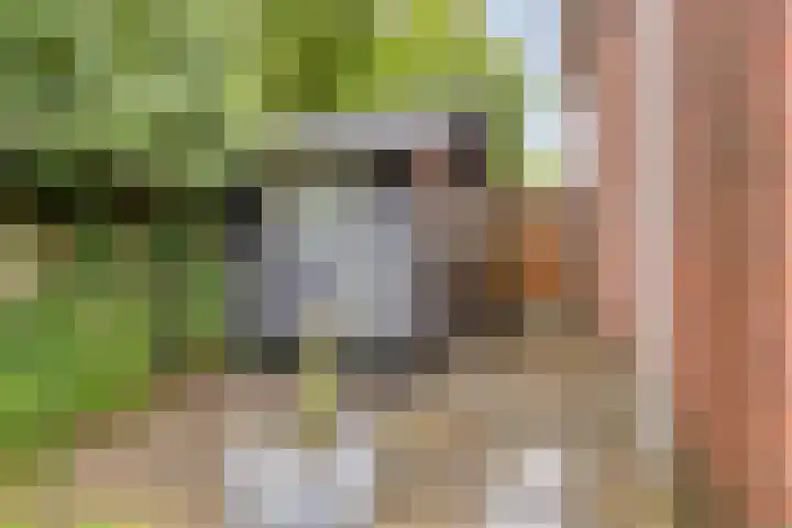 Cox 2 Asten thumbnail 43