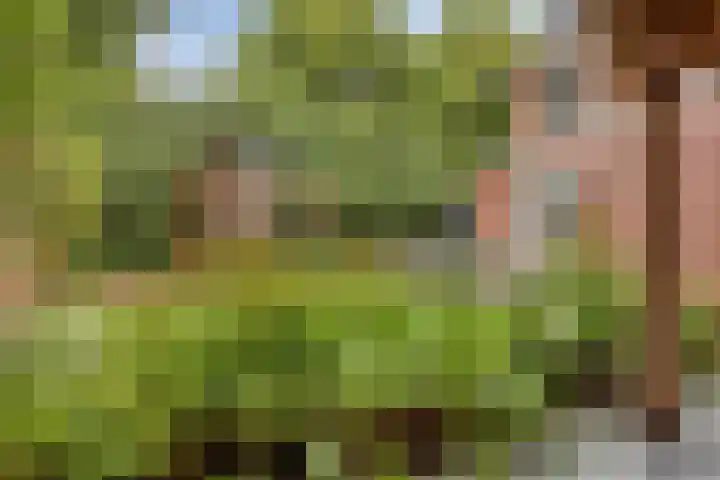 Cox 2 Asten thumbnail 5