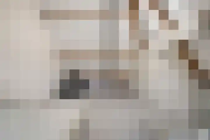 Cox 4 Asten thumbnail 28