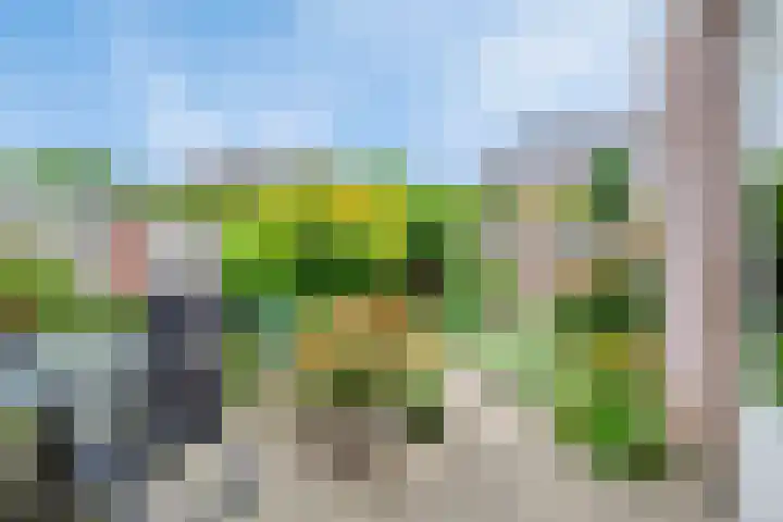 Cox 4 Asten thumbnail 29