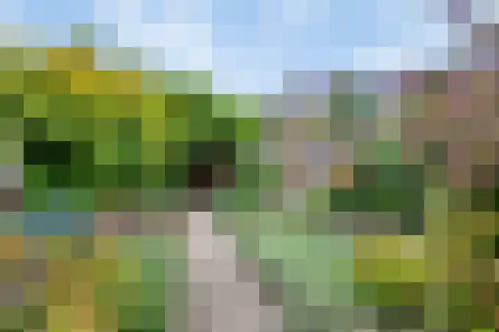 Cox 4 Asten thumbnail 30