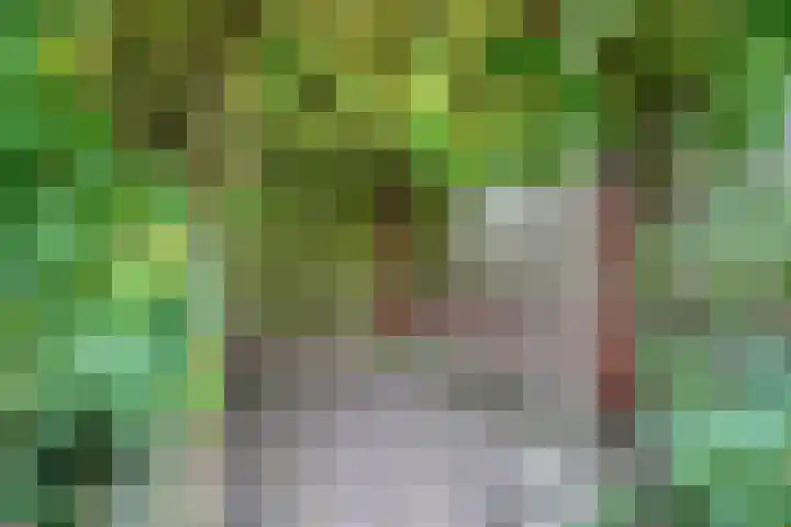 Cox 4 Asten thumbnail 31