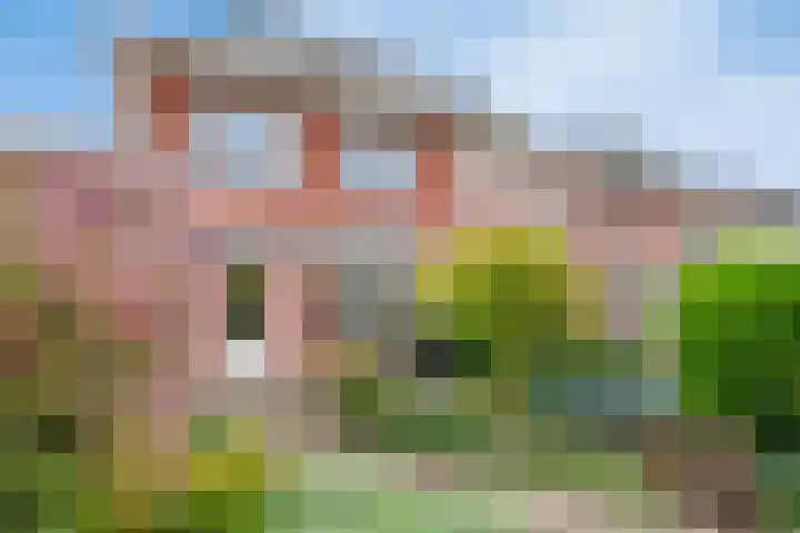 Cox 4 Asten thumbnail 33
