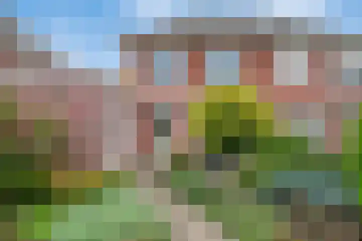 Cox 4 Asten thumbnail 34