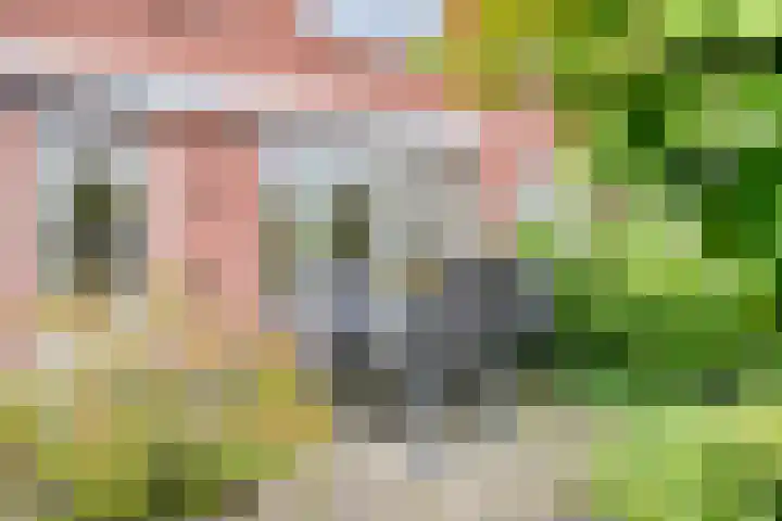 Cox 4 Asten thumbnail 36