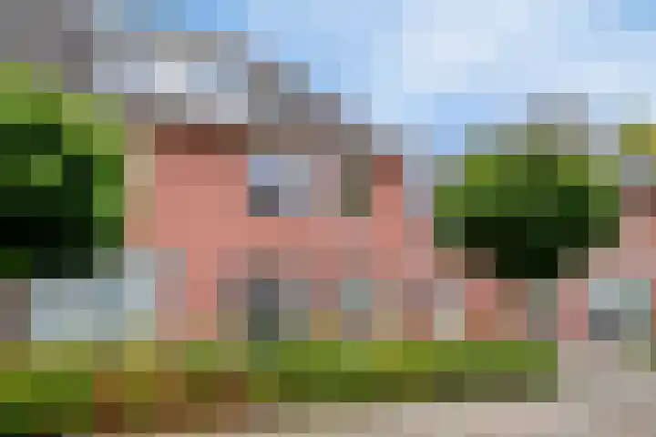 Cox 4 Asten thumbnail 41